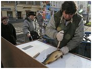 Czech Christmas tradition of carp killing